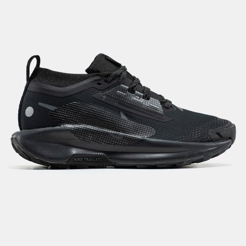 Nike Pegasus Trail 5 Gore-Tex Black Anthracite FQ0908-002