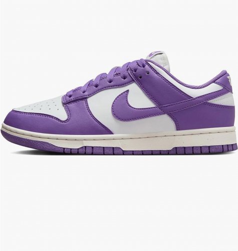 Кросівки жіночі Nike Dunk Low Next Nature (DD1873-108)