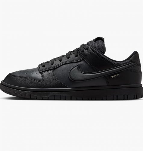 Кросівки чоловічі Nike Dunk Low Gore-Tex (HQ2053-001)
