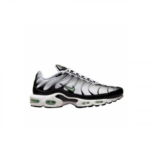 Nike Air Max Plus White Black Mint Green DH4776-100