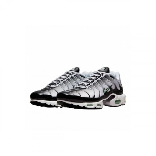 Nike Air Max Plus White Black Mint Green DH4776-100