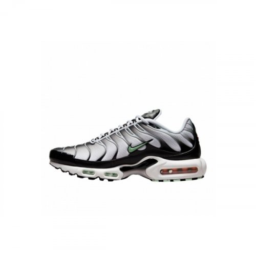 Nike Air Max Plus White Black Mint Green DH4776-100