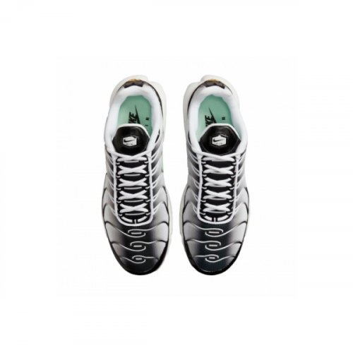 Nike Air Max Plus White Black Mint Green DH4776-100