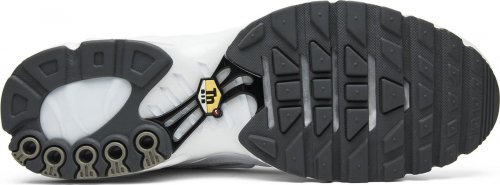 Nike Air Max Plus White
