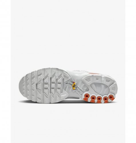 Кросівки чоловічі Nike Air Max Plus Tn (FJ4232-100)