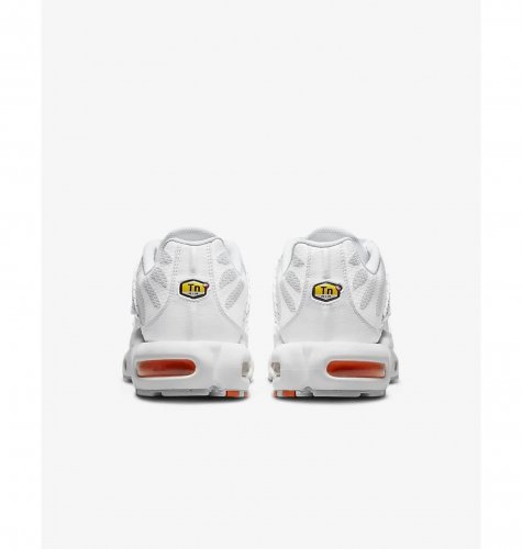 Кросівки чоловічі Nike Air Max Plus Tn (FJ4232-100)