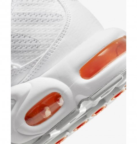 Кросівки чоловічі Nike Air Max Plus Tn (FJ4232-100)