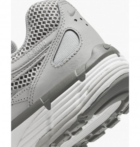Кросівки чоловічі Nike P-6000 Premium (FN6837-012)