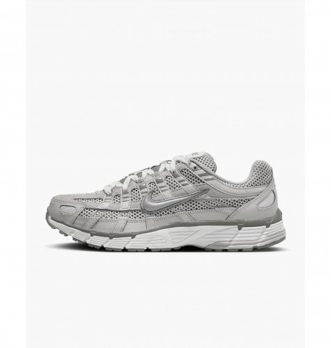 Кросівки чоловічі Nike P-6000 Premium (FN6837-012)