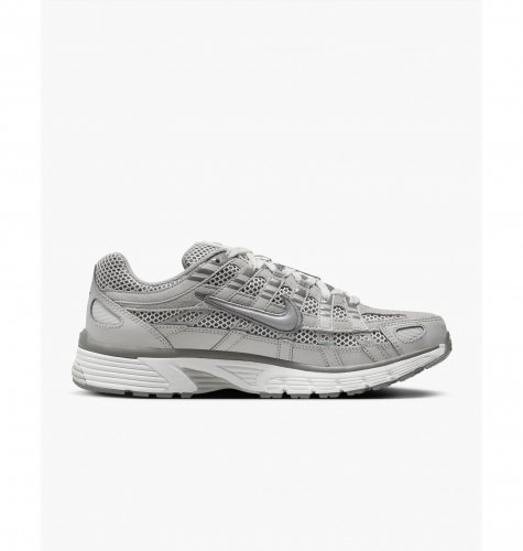 Кросівки чоловічі Nike P-6000 Premium (FN6837-012)