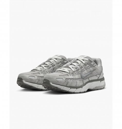 Кросівки чоловічі Nike P-6000 Premium (FN6837-012)