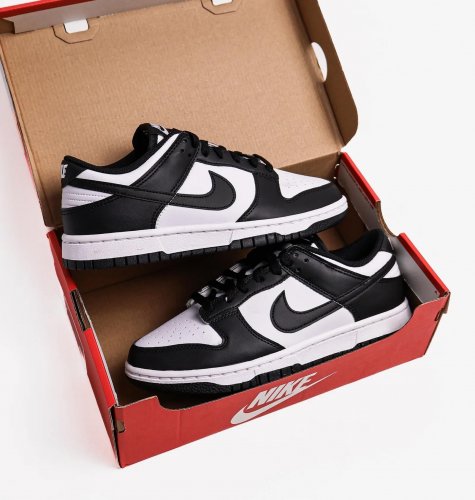 Кросівки жіночі Nike Dunk Low Next Nature (DD1873-102)