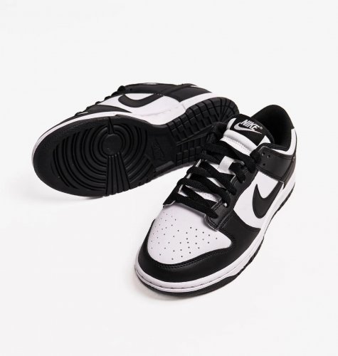 Кросівки жіночі Nike Dunk Low Next Nature (DD1873-102)