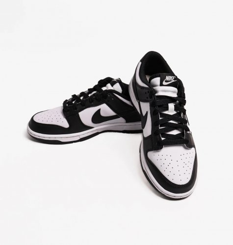 Кросівки жіночі Nike Dunk Low Next Nature (DD1873-102)
