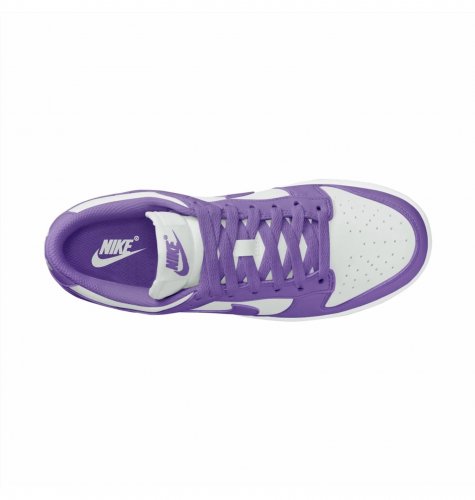 Кросівки жіночі Nike Dunk Low Next Nature (DD1873-108)
