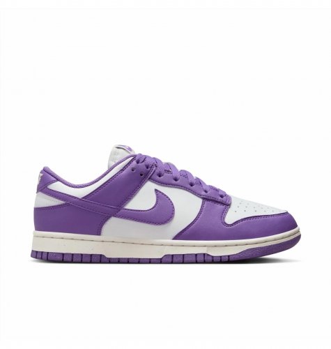 Кросівки жіночі Nike Dunk Low Next Nature (DD1873-108)