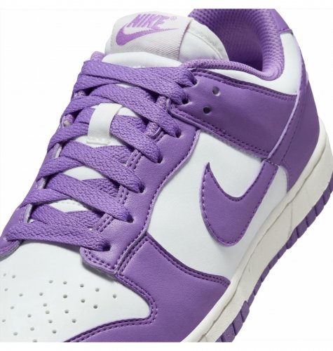 Кросівки жіночі Nike Dunk Low Next Nature (DD1873-108)