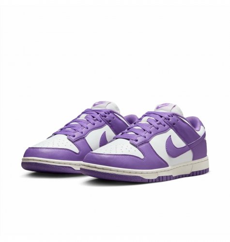 Кросівки жіночі Nike Dunk Low Next Nature (DD1873-108)