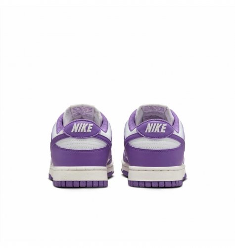 Кросівки жіночі Nike Dunk Low Next Nature (DD1873-108)