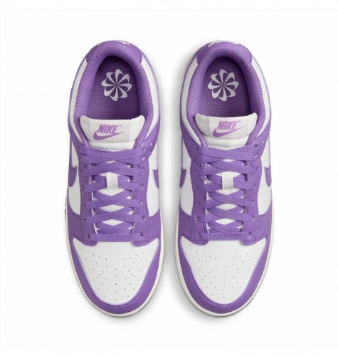 Кросівки жіночі Nike Dunk Low Next Nature (DD1873-108)