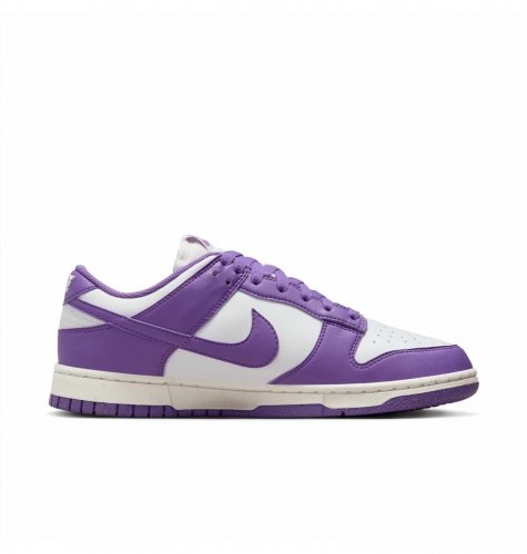 Кросівки жіночі Nike Dunk Low Next Nature (DD1873-108)