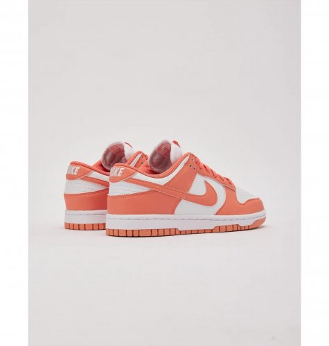 Кросівки жіночі Nike Dunk Low Next Nature (DD1873-109)