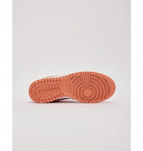 Кросівки жіночі Nike Dunk Low Next Nature (DD1873-109)
