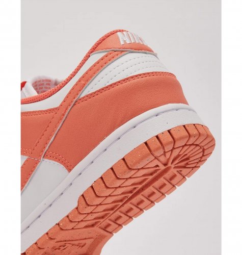 Кросівки жіночі Nike Dunk Low Next Nature (DD1873-109)