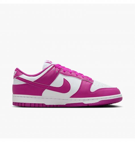 Кросівки жіночі Nike Dunk Low Next Nature (DD1873-110)