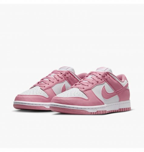 Кросівки жіночі Nike Dunk Low Next Nature (DD1873-112)