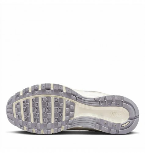Кросівки жіночі Nike P-6000 Premium "Light Bone" (HJ7284-072)
