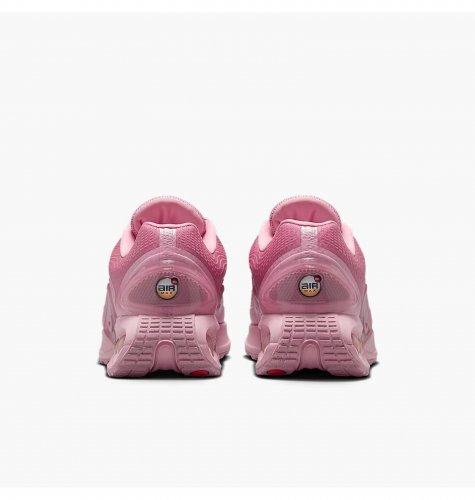 Кросівки жіночі Nike Air Max Dn (HV4861-600)