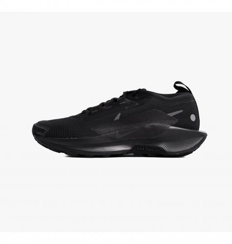 Кросівки для бігу чоловічі Nike Pegasus Trail 5 Gtx (FQ0908-002)