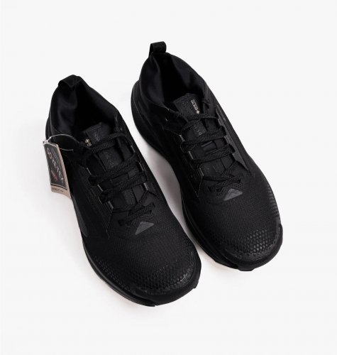 Кросівки для бігу чоловічі Nike Pegasus Trail 5 Gtx (FQ0908-002)