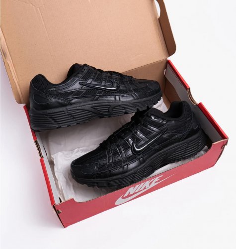 Кросівки чоловічі Nike P-6000 (CD6404-002)