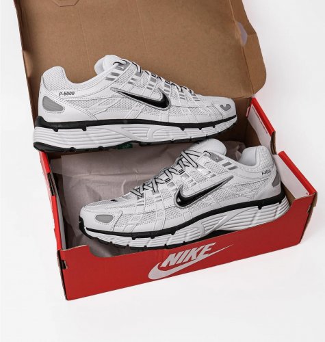 Кросівки чоловічі Nike P-6000 (CD6404-107)
