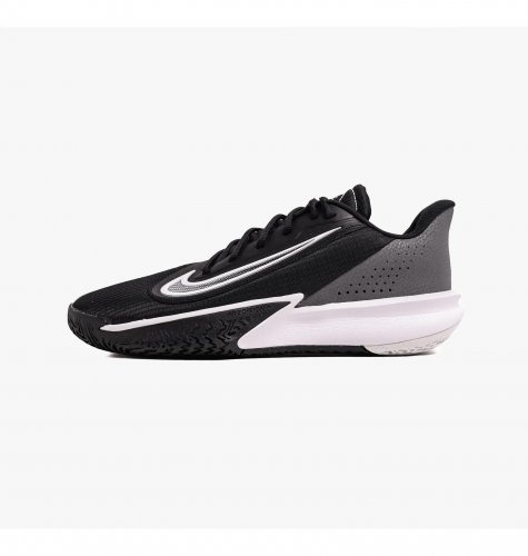 Кросівки чоловічі Nike Precision Vii (FN4322-005)