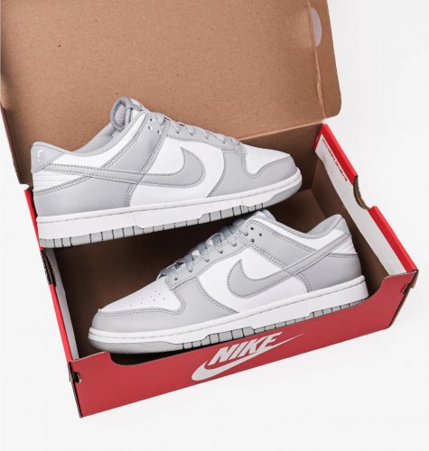 Кросівки чоловічі Nike Dunk Low Retro (HF5441-105)
