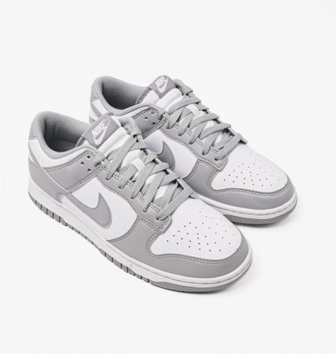 Кросівки чоловічі Nike Dunk Low Retro (HF5441-105)