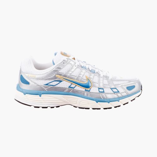 Кросівки чоловічі Nike P-6000 (HJ7246-100)