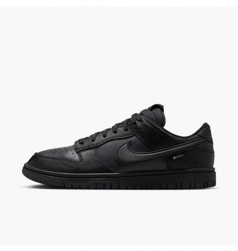 Кросівки чоловічі Nike Dunk Low Gore-Tex (HQ2053-001)