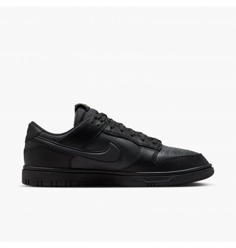 Кросівки чоловічі Nike Dunk Low Gore-Tex (HQ2053-001)