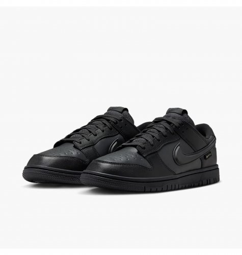 Кросівки чоловічі Nike Dunk Low Gore-Tex (HQ2053-001)