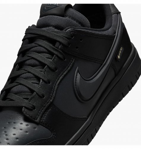 Кросівки чоловічі Nike Dunk Low Gore-Tex (HQ2053-001)