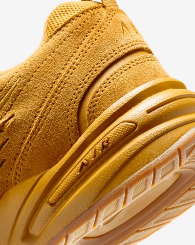 Кросівки чоловічі Nike Air Monarch Se (IB2281-700)